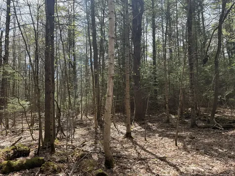0 Hodsdon Road Pownal ME 04222