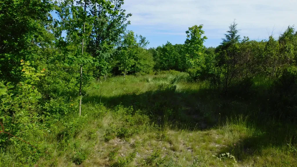 267 Ridge Road Addison ME 04671
