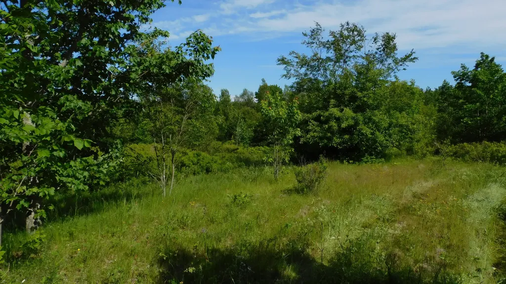 267 Ridge Road Addison ME 04671