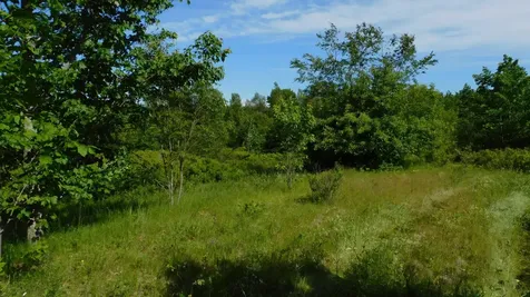 267 Ridge Road Addison ME 04671