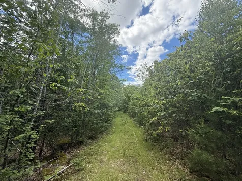 Lot 112 Mountain Road Warren ME 04864