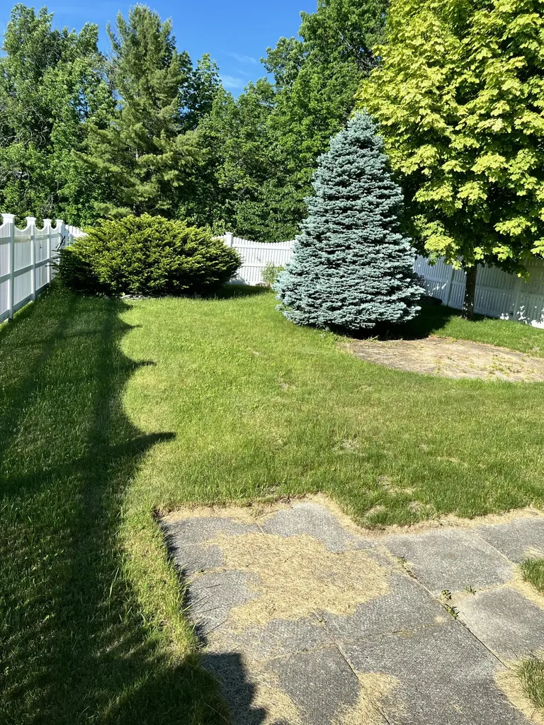 298 Perham Street Farmington ME 04938