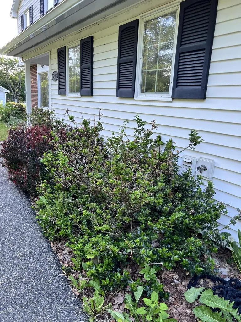 298 Perham Street Farmington ME 04938