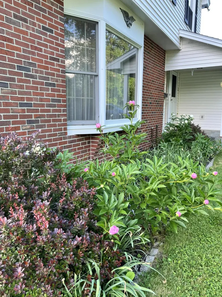 298 Perham Street Farmington ME 04938