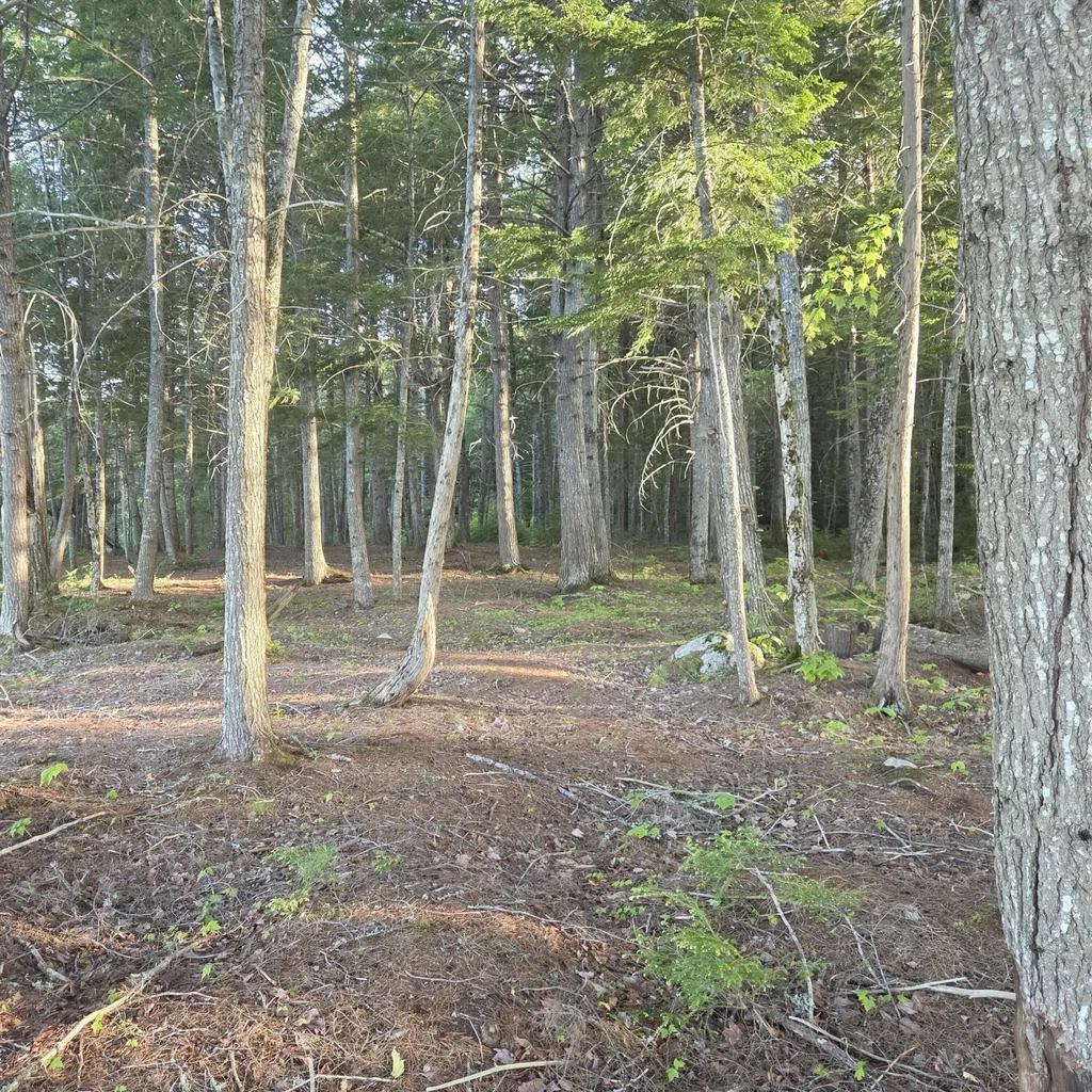 74 Eagle Ridge Road Lincoln ME 04457