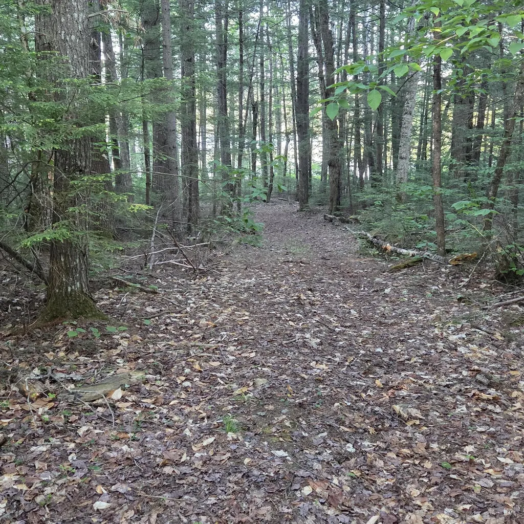 74 Eagle Ridge Road Lincoln ME 04457