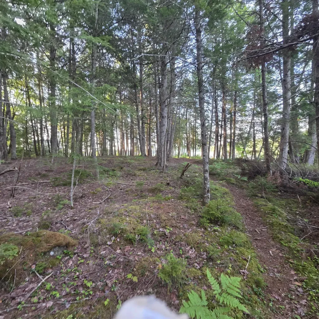 74 Eagle Ridge Road Lincoln ME 04457