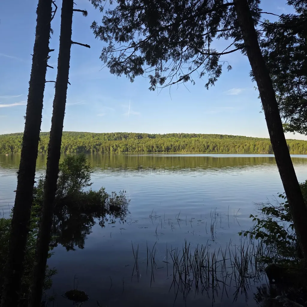74 Eagle Ridge Road Lincoln ME 04457