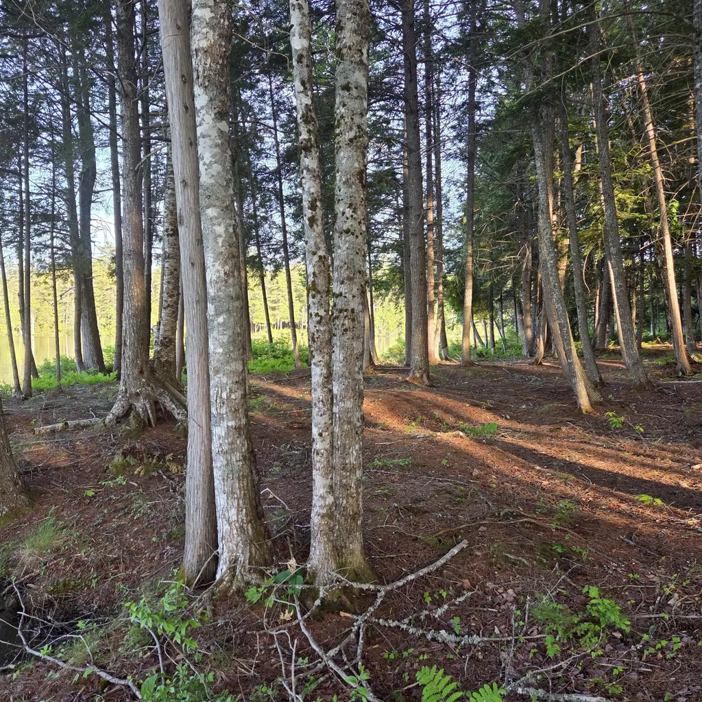 74 Eagle Ridge Road Lincoln ME 04457