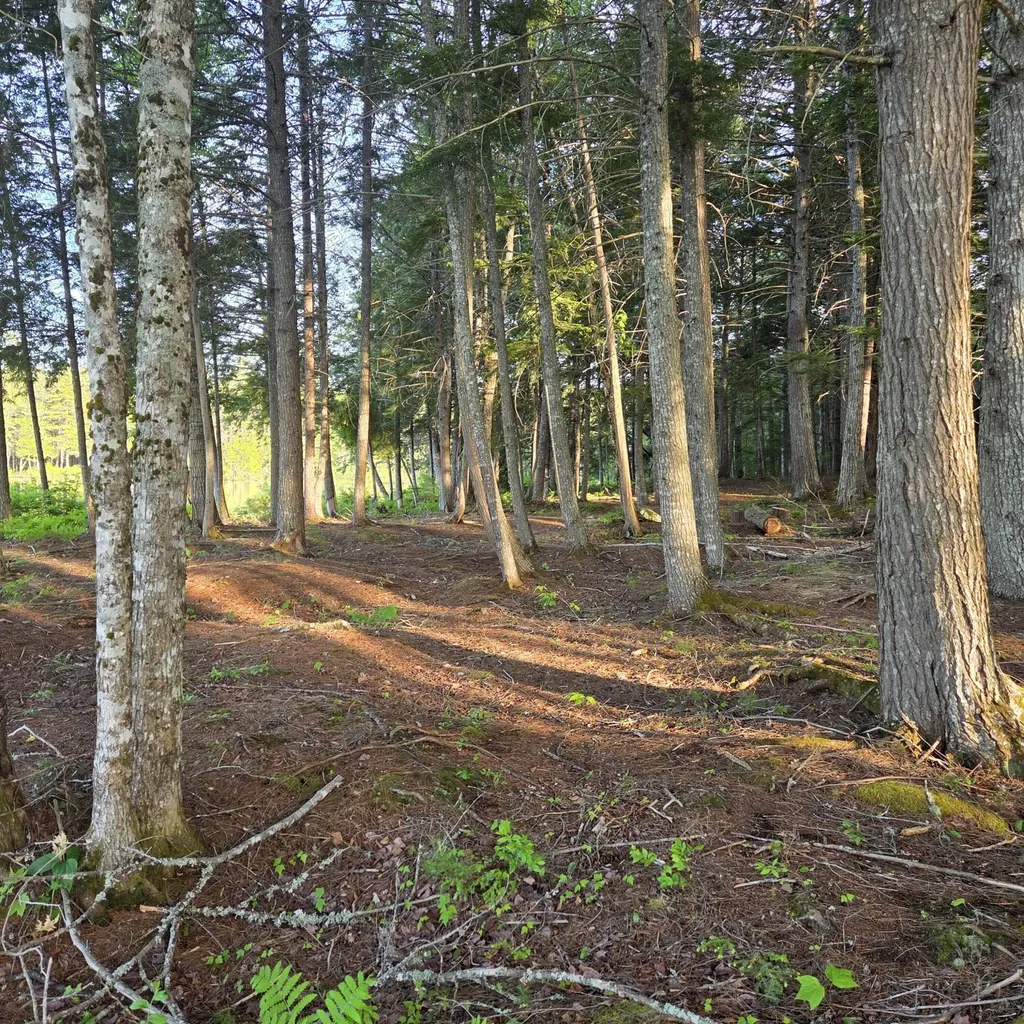 74 Eagle Ridge Road Lincoln ME 04457