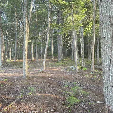 74 Eagle Ridge Road Lincoln ME 04457