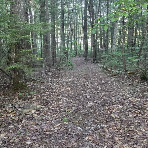 74 Eagle Ridge Road Lincoln ME 04457