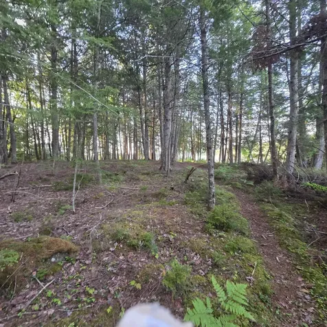 74 Eagle Ridge Road Lincoln ME 04457