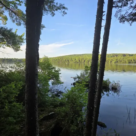 74 Eagle Ridge Road Lincoln ME 04457