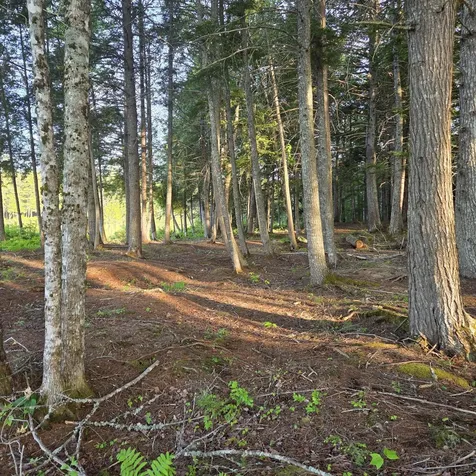 74 Eagle Ridge Road Lincoln ME 04457