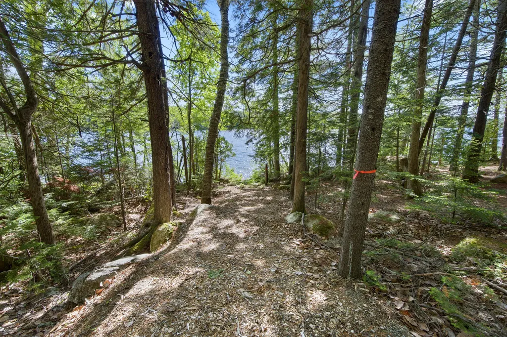 19 Brown Road Danforth ME 04424