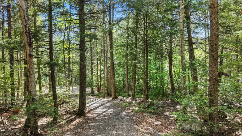 19 Brown Road Danforth ME 04424
