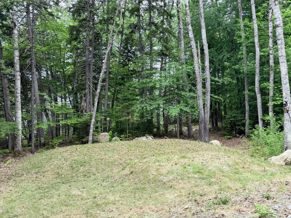 19 Brown Road Danforth ME 04424