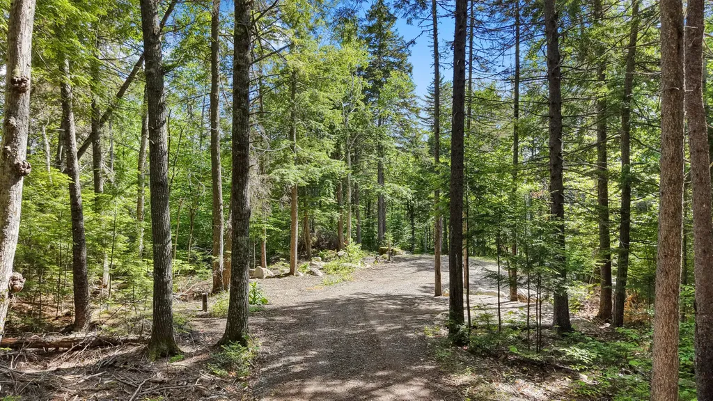 19 Brown Road Danforth ME 04424