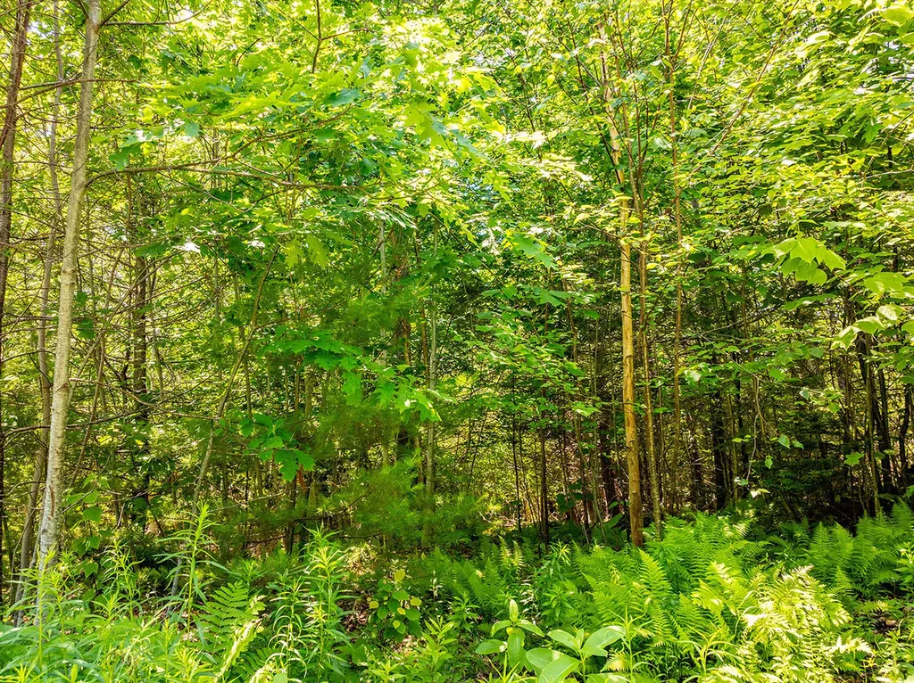 00 Mountain Arrow Drive Upper Lot Camden ME 04843