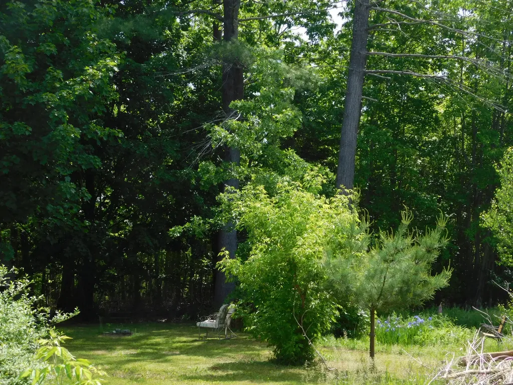 M18 L88 Crosby Street Hartland ME 04943