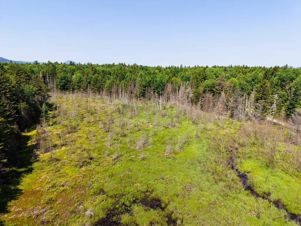 MS03L Middle Carry Pond Road Carrying Place Twp ME 04961