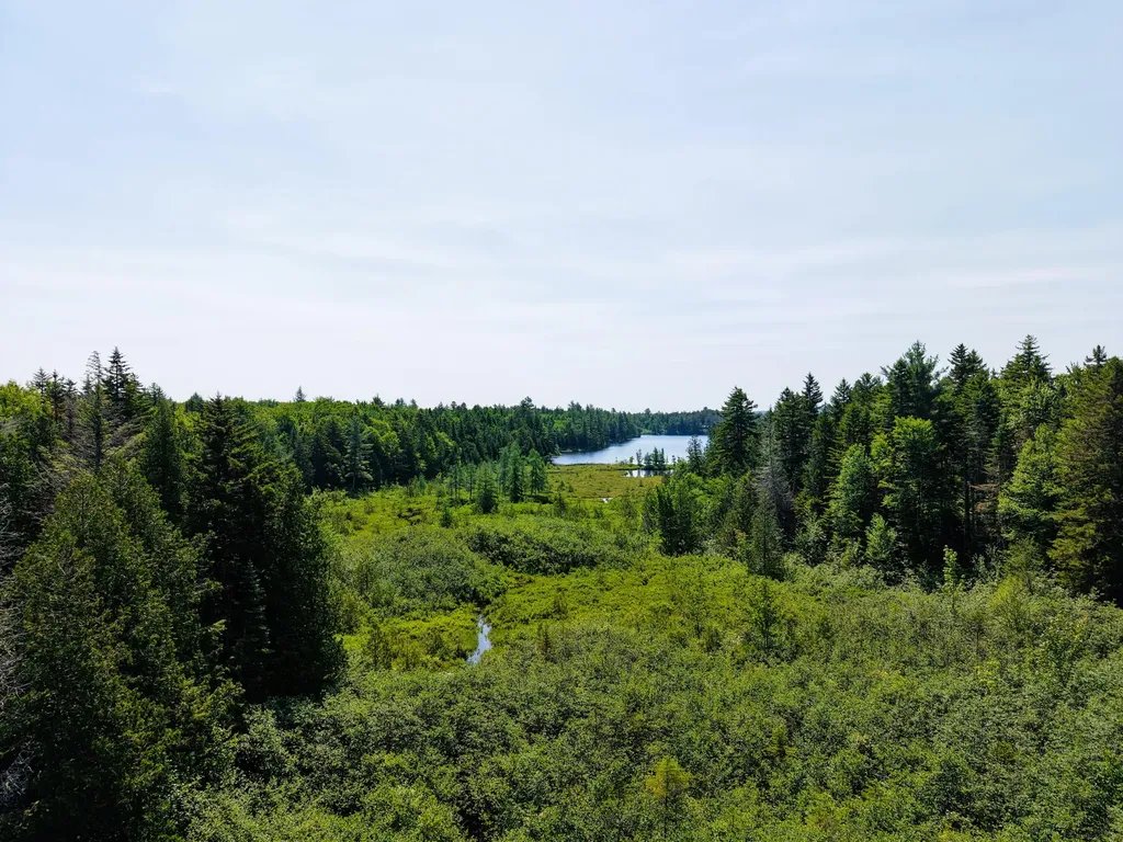 MS03L Middle Carry Pond Road Carrying Place Twp ME 04961