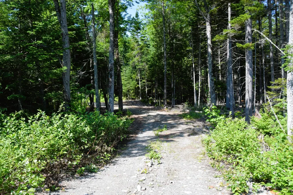 MS03L Middle Carry Pond Road Carrying Place Twp ME 04961