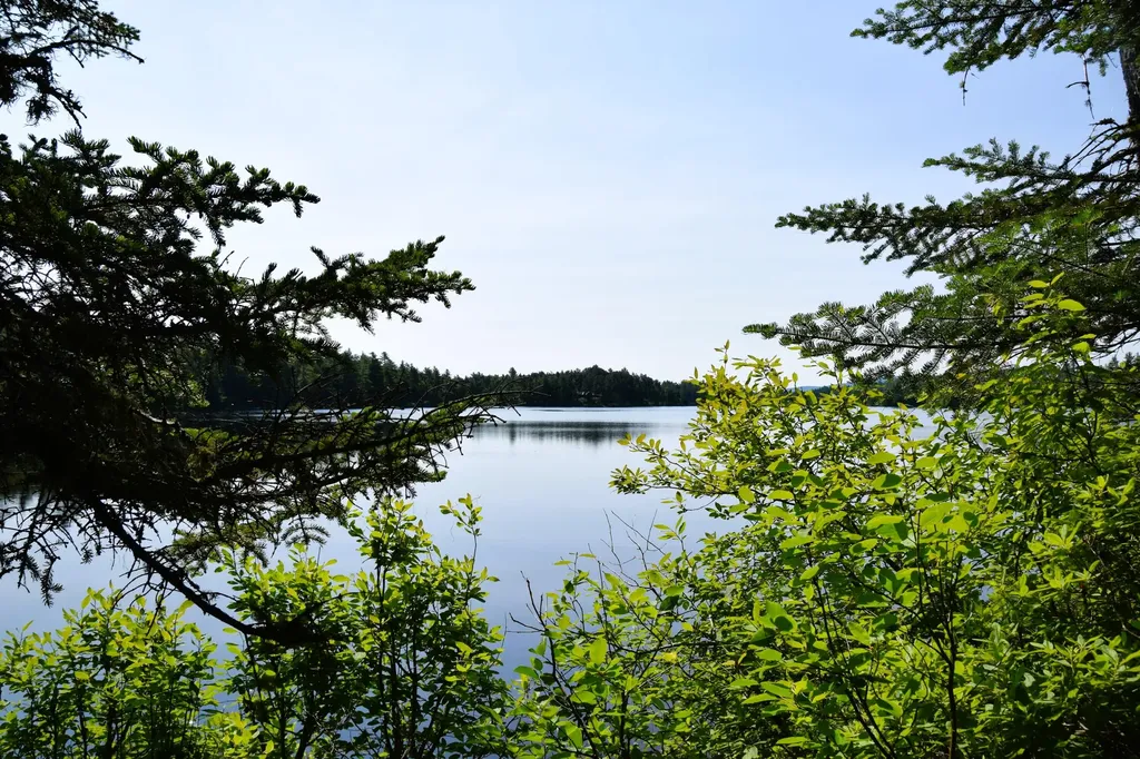 MS03L Middle Carry Pond Road Carrying Place Twp ME 04961