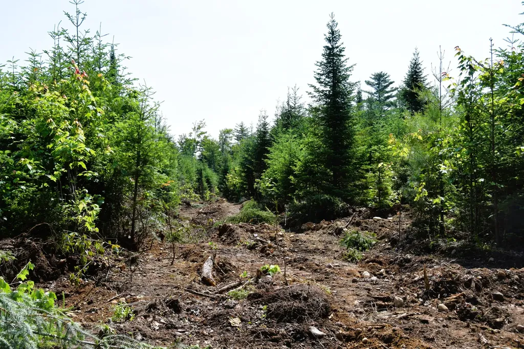 MS03L Middle Carry Pond Road Carrying Place Twp ME 04961