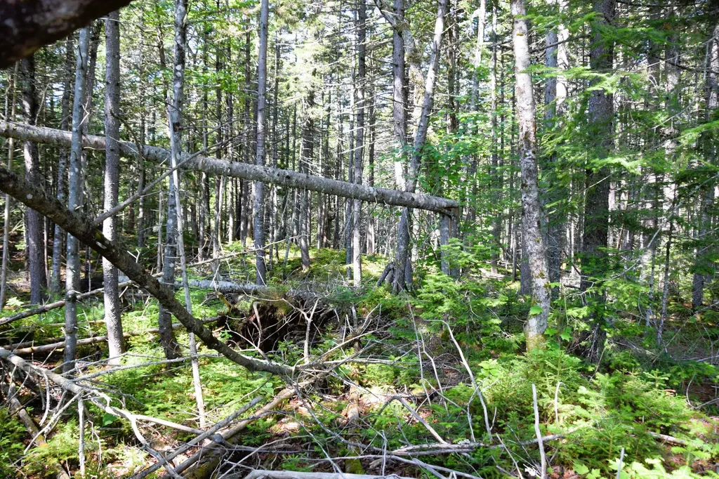 MS03L Middle Carry Pond Road Carrying Place Twp ME 04961