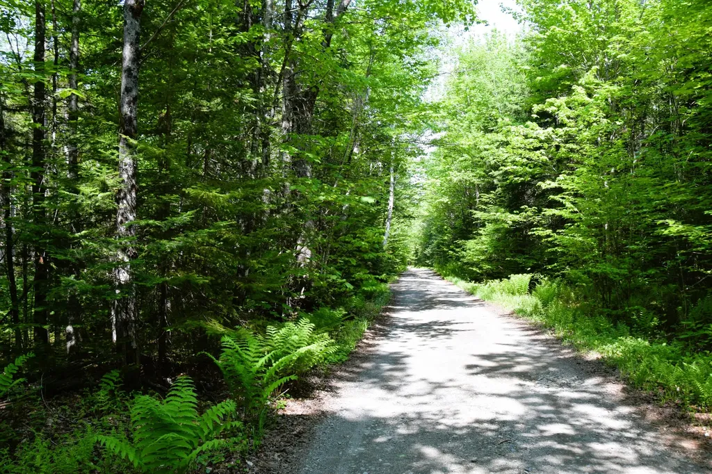 MS03L Middle Carry Pond Road Carrying Place Twp ME 04961