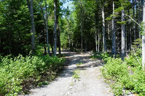 MS03L Middle Carry Pond Road Carrying Place Twp ME 04961