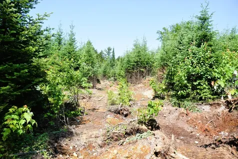 MS03L Middle Carry Pond Road Carrying Place Twp ME 04961