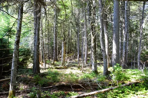 MS03L Middle Carry Pond Road Carrying Place Twp ME 04961