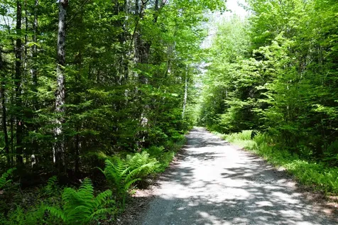 MS03L Middle Carry Pond Road Carrying Place Twp ME 04961