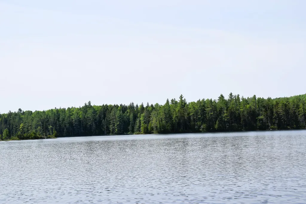 MS03 Middle Carry Pond Carrying Place Twp ME 04961