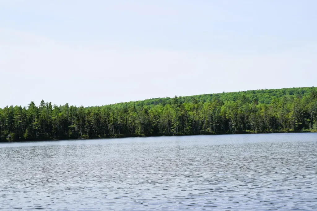 MS03 Middle Carry Pond Carrying Place Twp ME 04961