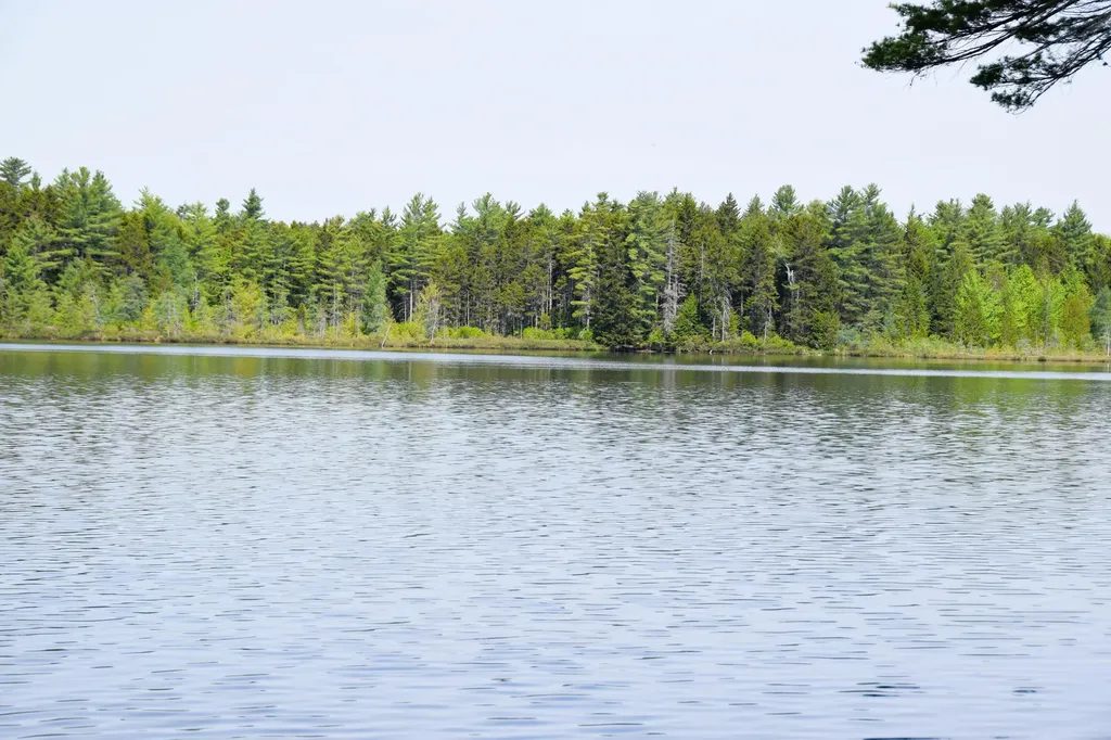 MS03 Middle Carry Pond Carrying Place Twp ME 04961