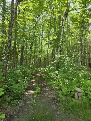 1288 Litchfield Road Bowdoin ME 04287