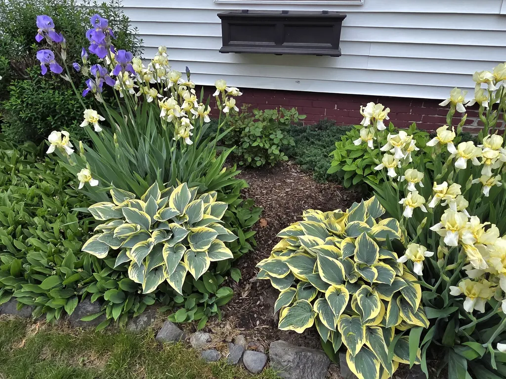 141 Forest Avenue Bangor ME 04401
