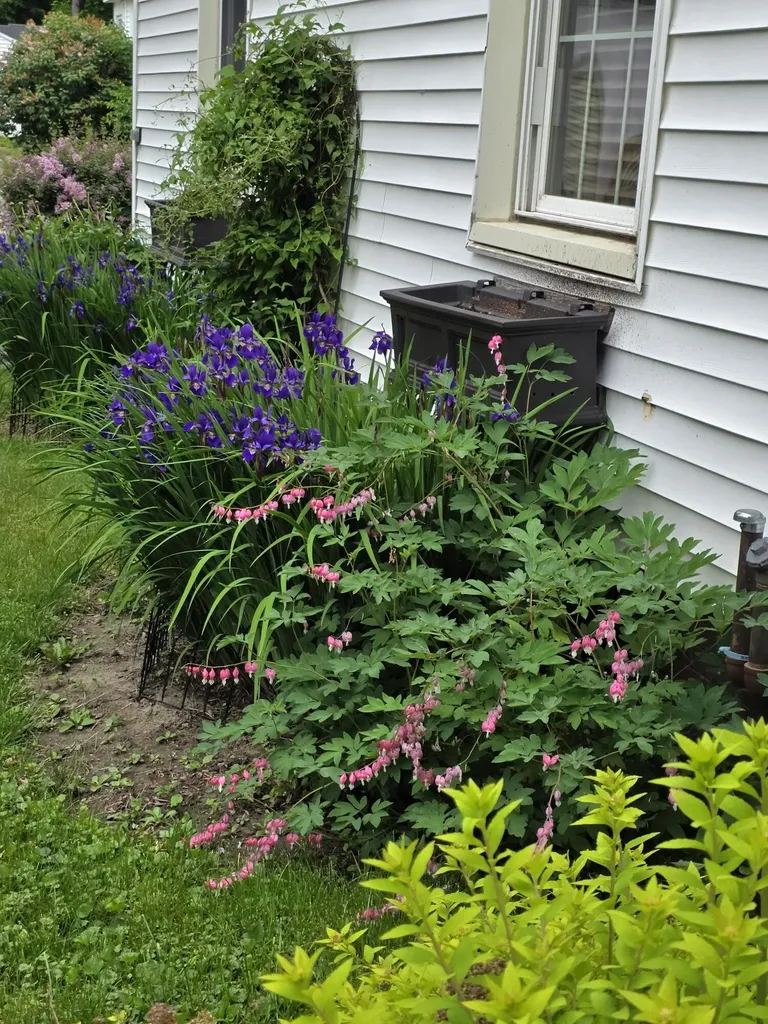 141 Forest Avenue Bangor ME 04401