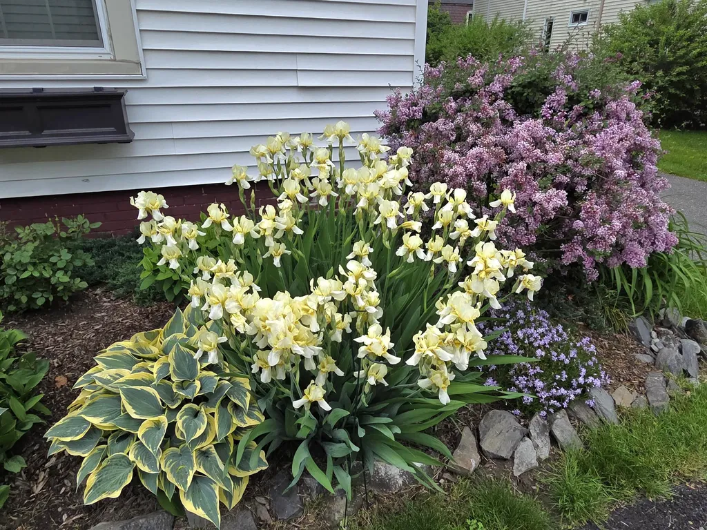 141 Forest Avenue Bangor ME 04401