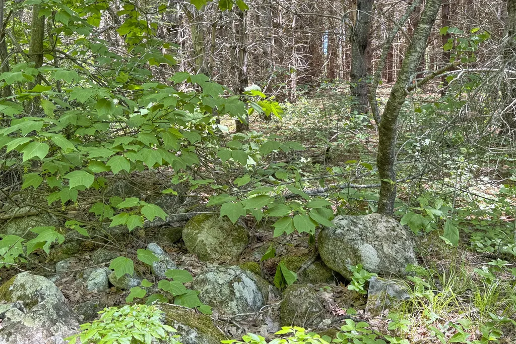 Lot 23 Mountain View Lane Hope ME 04847