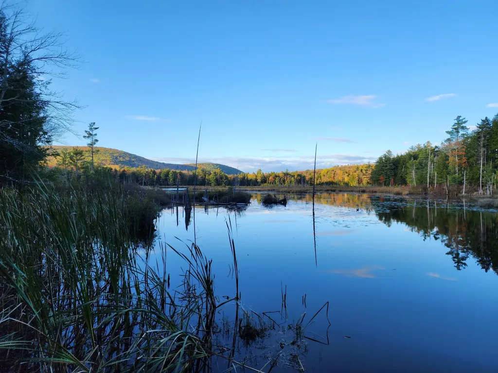 104 Drake Pond Road Jackson ME 04921
