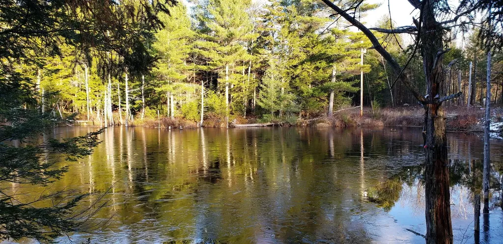 104 Drake Pond Road Jackson ME 04921