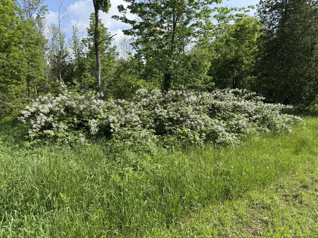 199 Dunn Road Dexter ME 04930