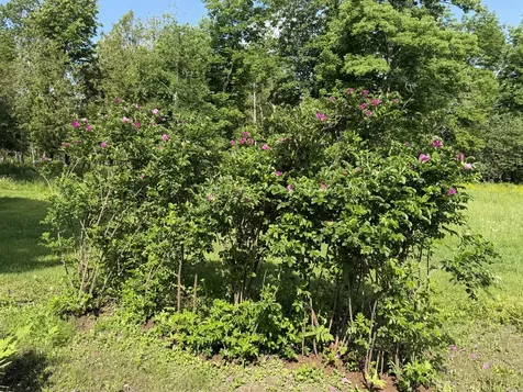 199 Dunn Road Dexter ME 04930