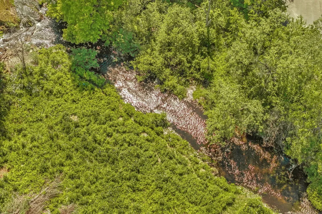 487 Brewer Lake Road Orrington ME 04474