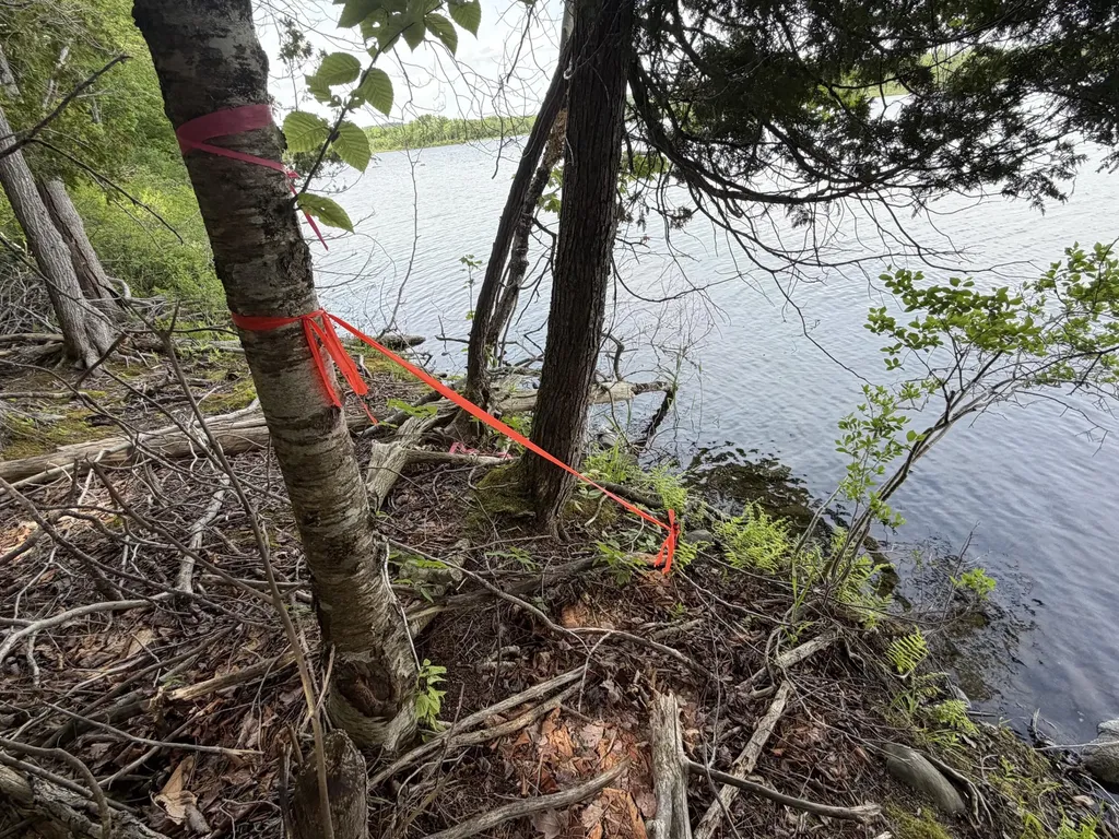 Map 21 Lot 11 Bear Lane Dexter ME 04930